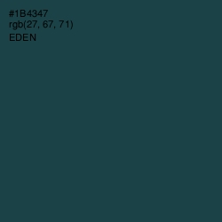 #1B4347 - Eden Color Image