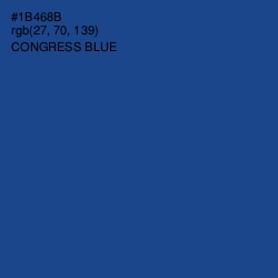 #1B468B - Congress Blue Color Image