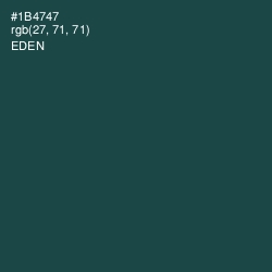 #1B4747 - Eden Color Image