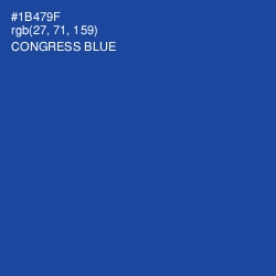 #1B479F - Congress Blue Color Image