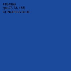 #1B499B - Congress Blue Color Image