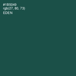 #1B5049 - Eden Color Image