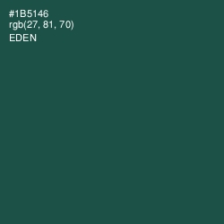 #1B5146 - Eden Color Image