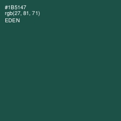 #1B5147 - Eden Color Image