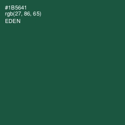#1B5641 - Eden Color Image