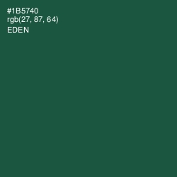 #1B5740 - Eden Color Image