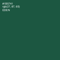 #1B5741 - Eden Color Image