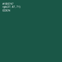 #1B5747 - Eden Color Image