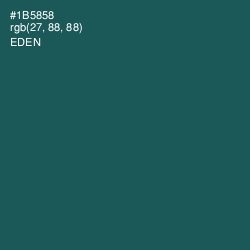 #1B5858 - Eden Color Image