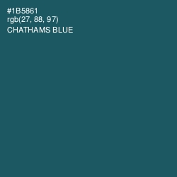 #1B5861 - Chathams Blue Color Image