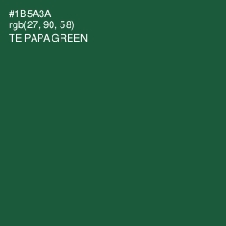 #1B5A3A - Te Papa Green Color Image
