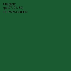 #1B5B32 - Te Papa Green Color Image