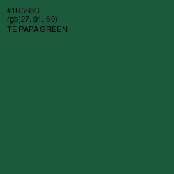 #1B5B3C - Te Papa Green Color Image