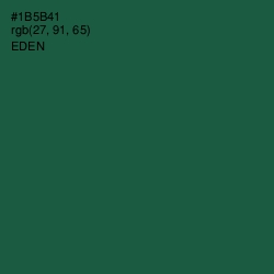 #1B5B41 - Eden Color Image