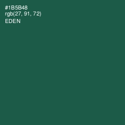 #1B5B48 - Eden Color Image