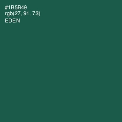 #1B5B49 - Eden Color Image