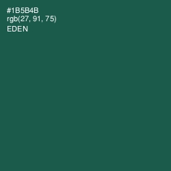 #1B5B4B - Eden Color Image