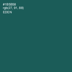 #1B5B58 - Eden Color Image