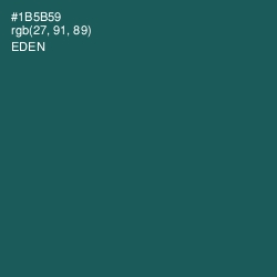 #1B5B59 - Eden Color Image