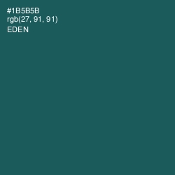 #1B5B5B - Eden Color Image