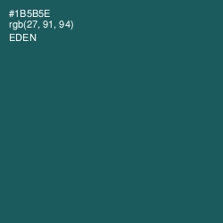 #1B5B5E - Eden Color Image