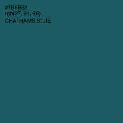 #1B5B62 - Chathams Blue Color Image