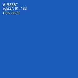 #1B5BB7 - Fun Blue Color Image