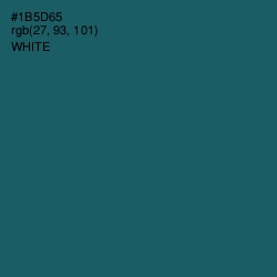 #1B5D65 - Blumine Color Image