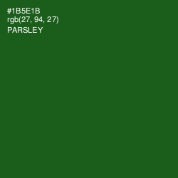 #1B5E1B - Parsley Color Image