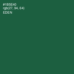 #1B5E40 - Eden Color Image