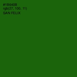 #1B640B - San Felix Color Image