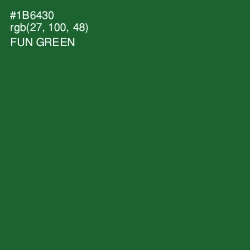 #1B6430 - Fun Green Color Image