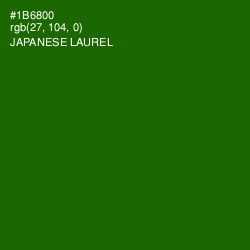 #1B6800 - Japanese Laurel Color Image