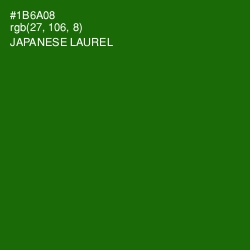 #1B6A08 - Japanese Laurel Color Image