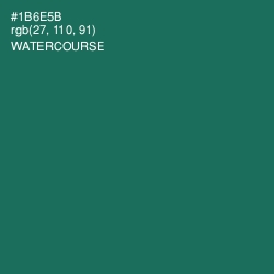 #1B6E5B - Watercourse Color Image