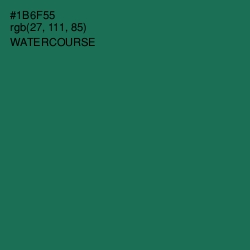 #1B6F55 - Watercourse Color Image