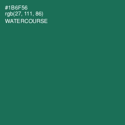 #1B6F56 - Watercourse Color Image
