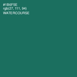 #1B6F5E - Watercourse Color Image