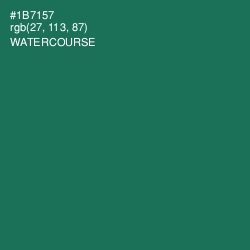 #1B7157 - Watercourse Color Image