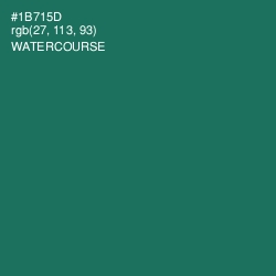#1B715D - Watercourse Color Image