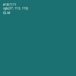 #1B7171 - Elm Color Image