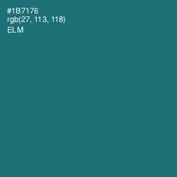 #1B7176 - Elm Color Image