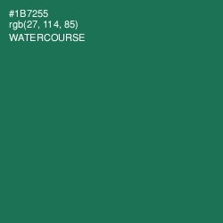 #1B7255 - Watercourse Color Image