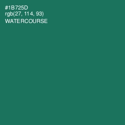 #1B725D - Watercourse Color Image