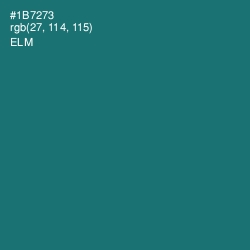 #1B7273 - Elm Color Image