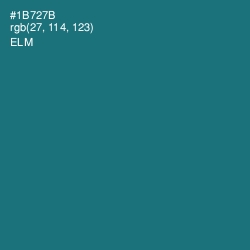 #1B727B - Elm Color Image