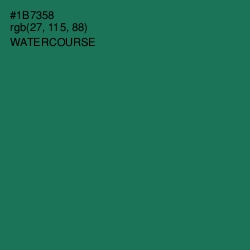 #1B7358 - Watercourse Color Image