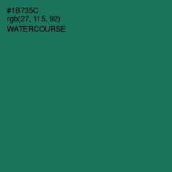 #1B735C - Watercourse Color Image