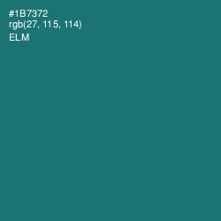 #1B7372 - Elm Color Image