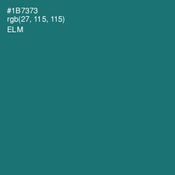 #1B7373 - Elm Color Image